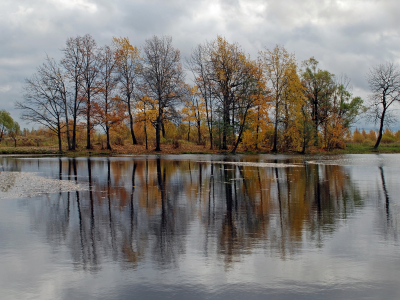 лес, вода, осень, отражение, речка, деревья, небо