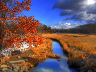 hammonasset state park, осень, река