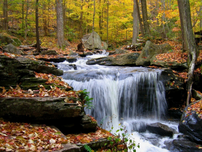 камни, осень, лес, водопад, листья