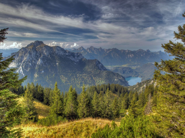 ели, баварские альпы, лес, озеро, горы, деревья