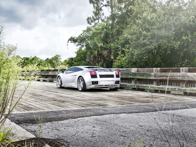 мост, тюнинг, небо, gallardo, галлардо, кусты, tuning, ламборгини, зелень, lamborghini, bridge, деревья, серебристый