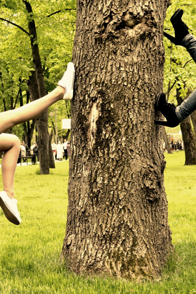 дерево, девуши, парк