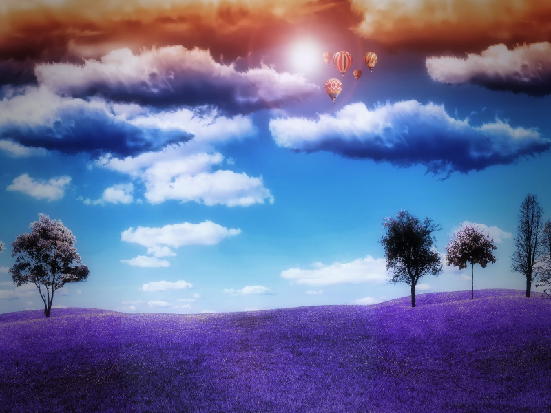 поле, воздушные шары, небо, природа, деревья, облака, солнце, горизонт
