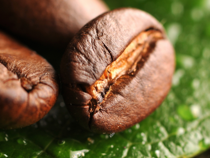 лист, leaf, coffee, кофе, макро, macro, зерна, beans