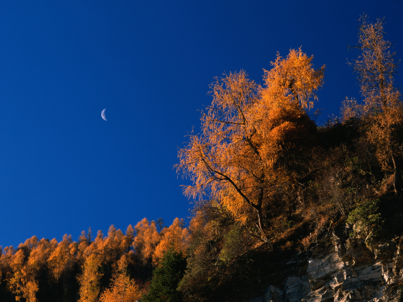 осень, скалы, autumn