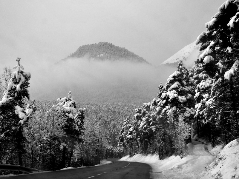 лес, снег, зима, обои, горы, пейзаж, фон, чёрно-белое, дорога, фото