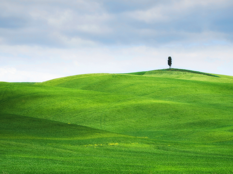 поле, небо, зеленый, одинокое дерево, пейзаж, италия, луг, дерево, трава, зеленая