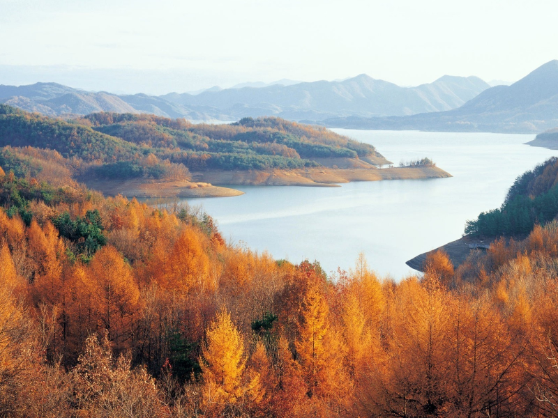 korea, горы, озеро, осень, chungjuho lake, лес