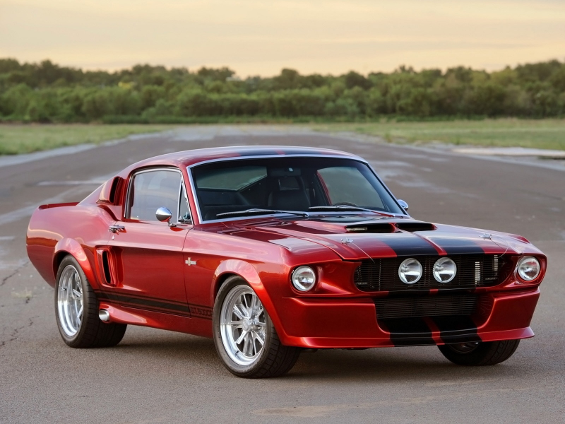 gt500, shelby, view, cr, front