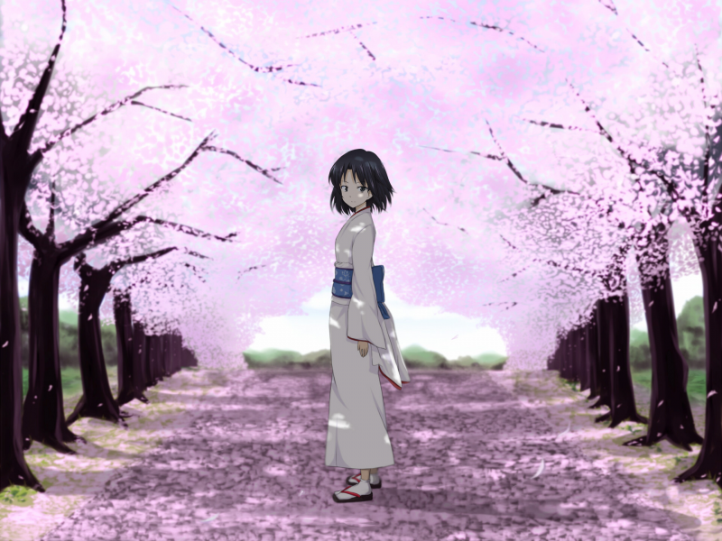 взгляд, дорога, сакура, сияние сакуры, девушка, кимоно