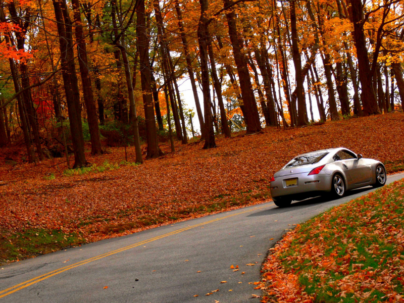 дорога, осень, 350z, природа, nissan