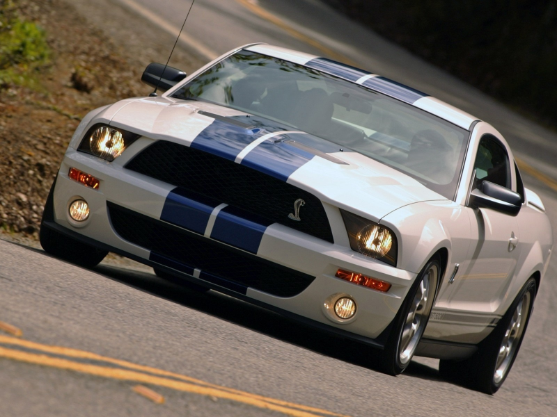 cobra gt500, ford, mustang, shelby