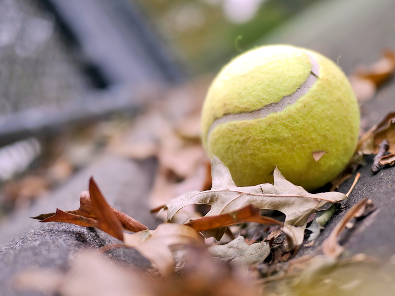 настроение, ball, листья, tennis ball, теннисный мяч, tennis, осень, мяч