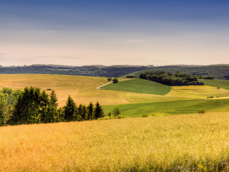 пейзаж, германия, трава, тепло, небо, поле, лето, лес