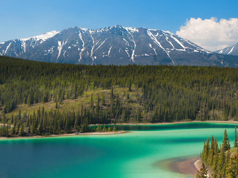 озеро, деревья, горы, alaska, emerald lake