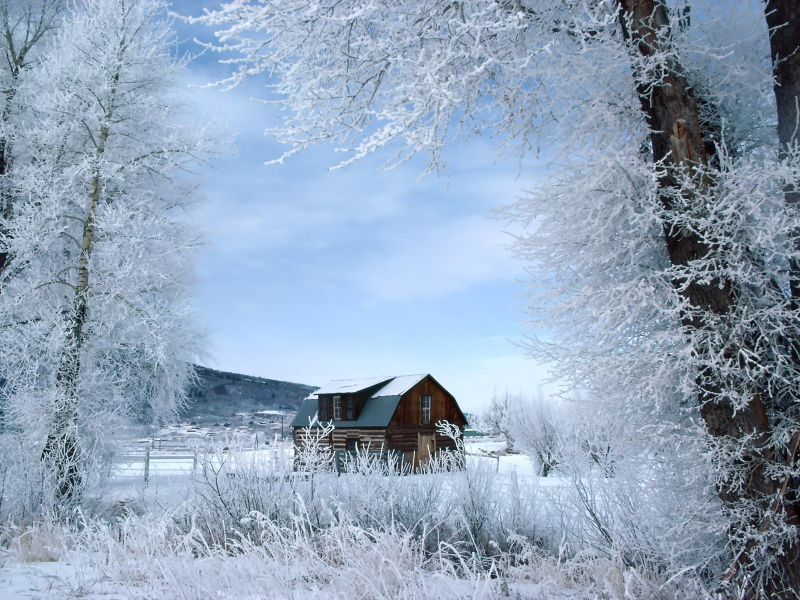 дом, зима, снег