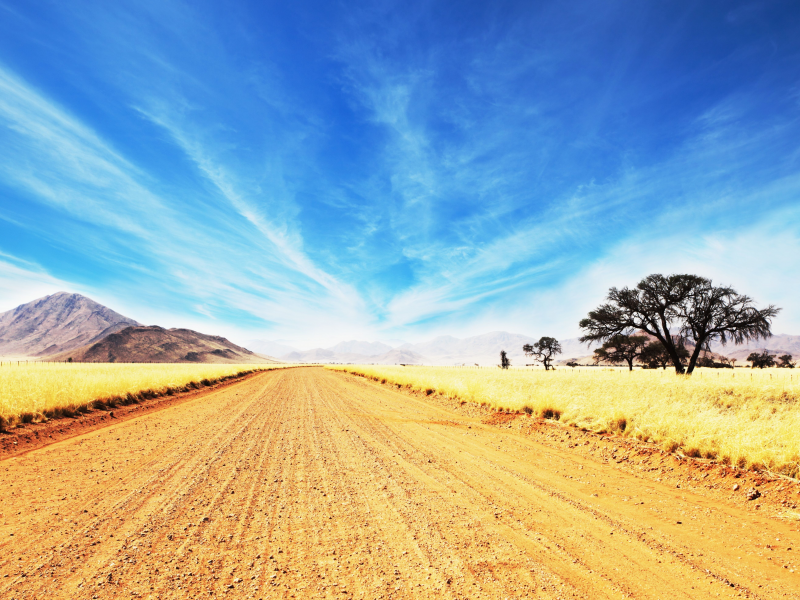 облака, wilderness, landscape, road scenery, africa, savanna, environment, саванна, горизонт, tree, небо, голубое, sunny, африка, dusty, дорога