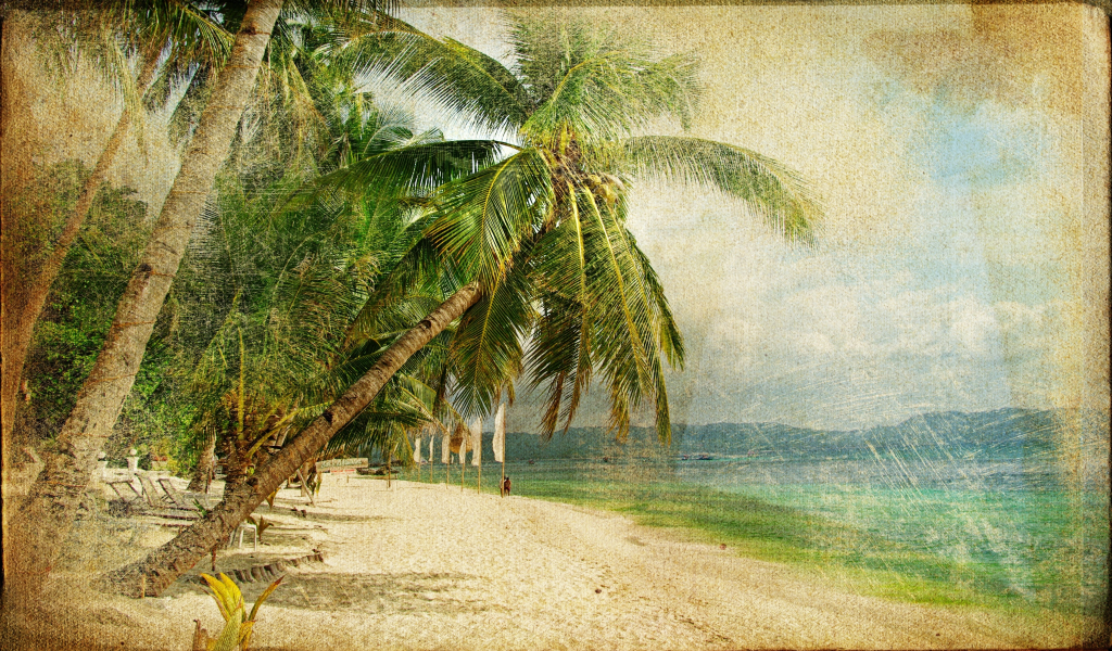 море, старая фотография, vintage, пальмы, винтаж