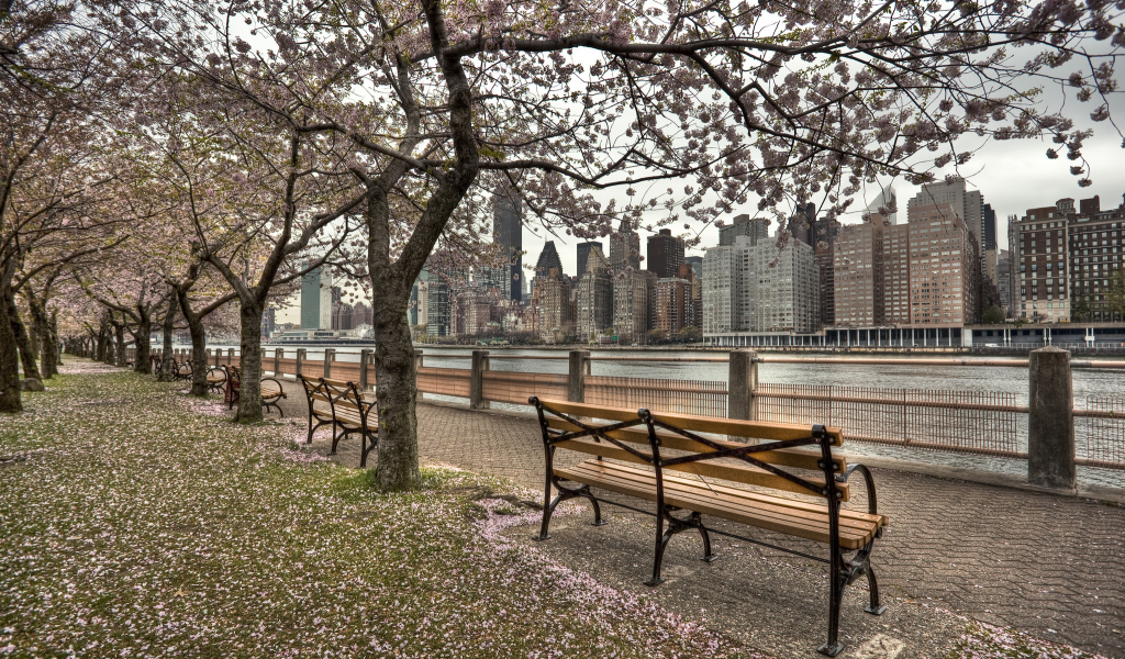 набережная, река, весна, пляж, us, ny, город, new york, roosevelt island