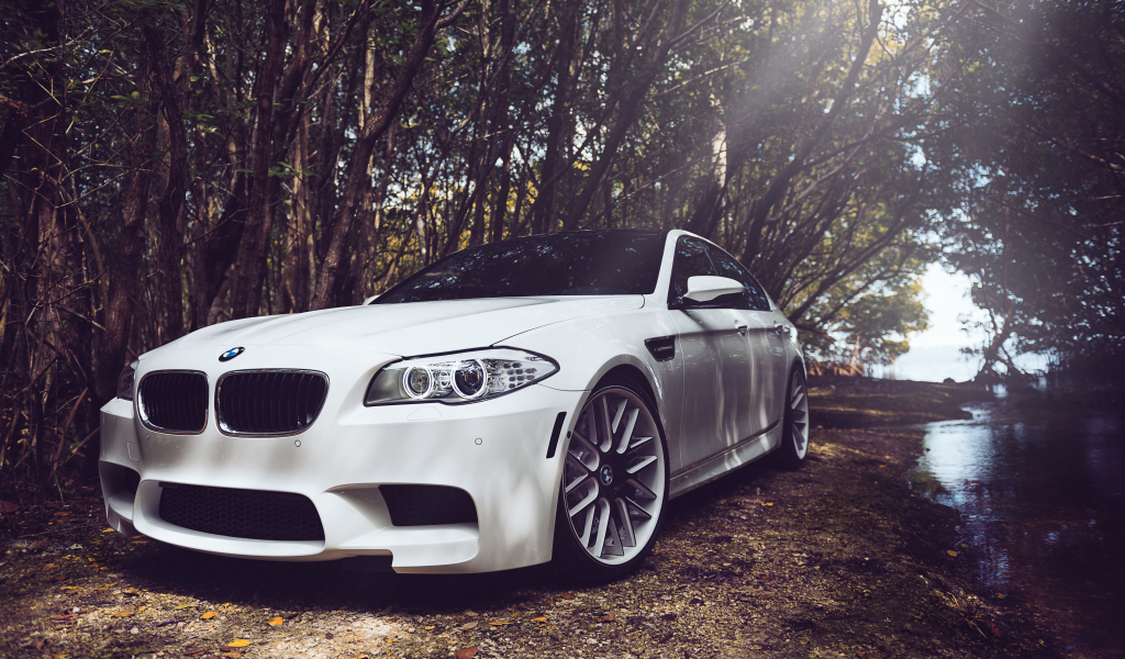 белый, bmw, white, бмв, f10, m5