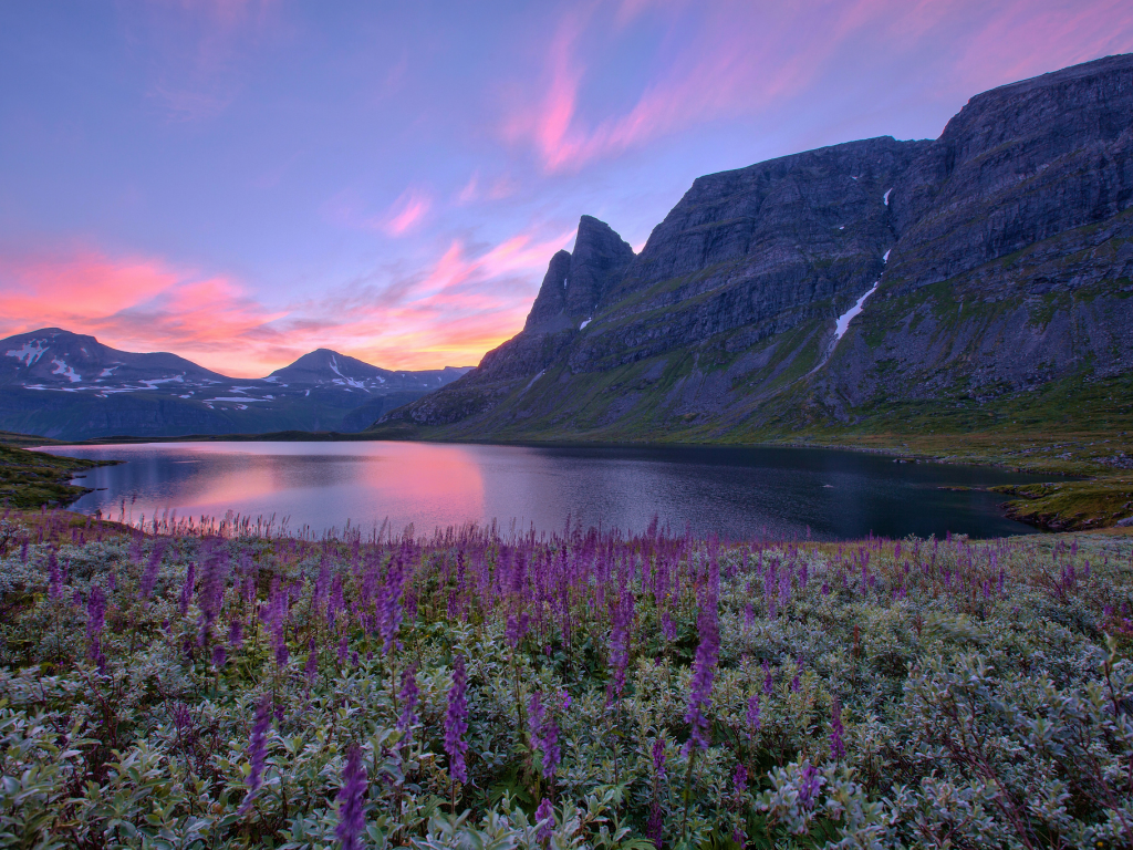 norway, цветы, норвегия, восход, горы, озеро