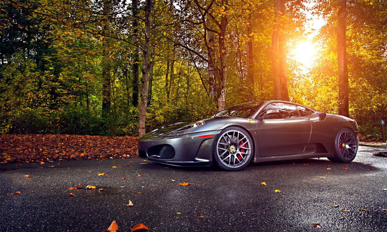 autumn, ferrari, wheels, asphalt, 430, leaf, silver, tuning, green, trees, sun