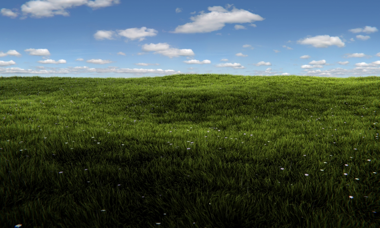 солнце, трава, blender, render, sunshine, grass, field, summer, зелень, небо