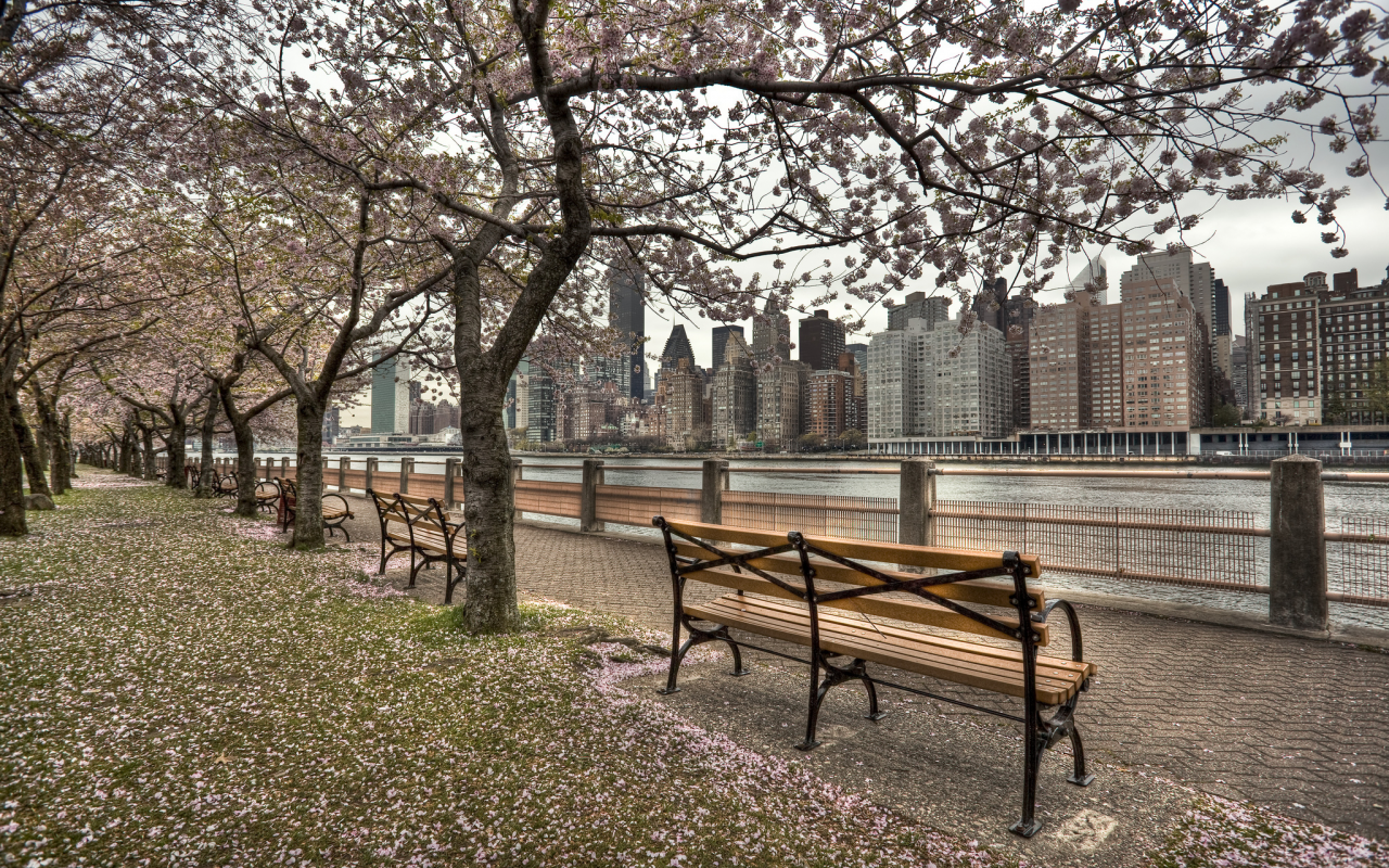 набережная, река, весна, пляж, us, ny, город, new york, roosevelt island