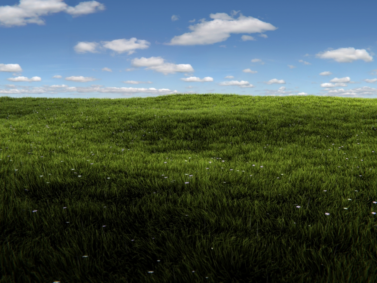 солнце, трава, blender, render, sunshine, grass, field, summer, зелень, небо