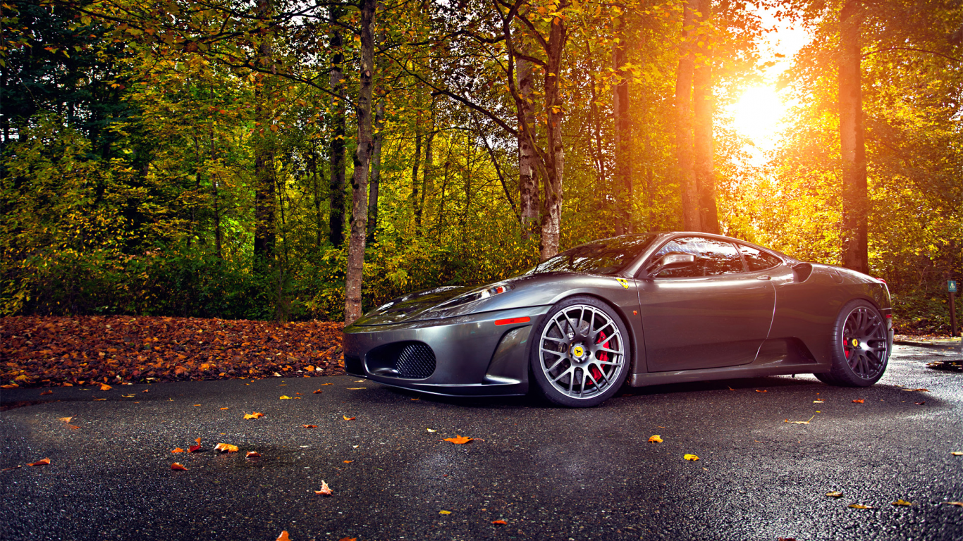 autumn, ferrari, wheels, asphalt, 430, leaf, silver, tuning, green, trees, sun