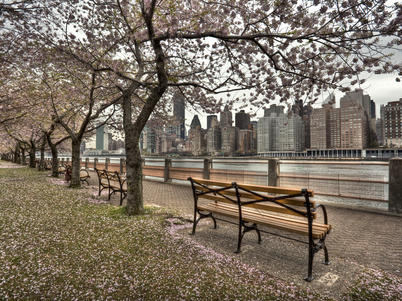 набережная, река, весна, пляж, us, ny, город, new york, roosevelt island