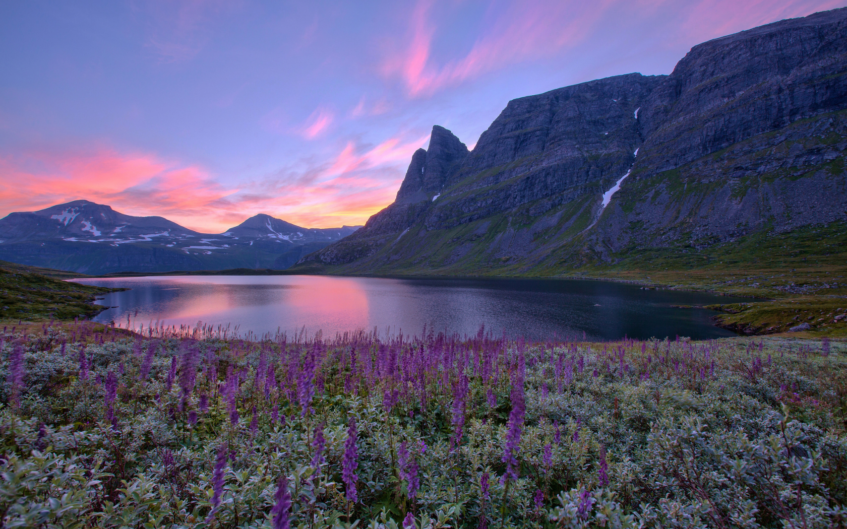 norway, цветы, норвегия, восход, горы, озеро