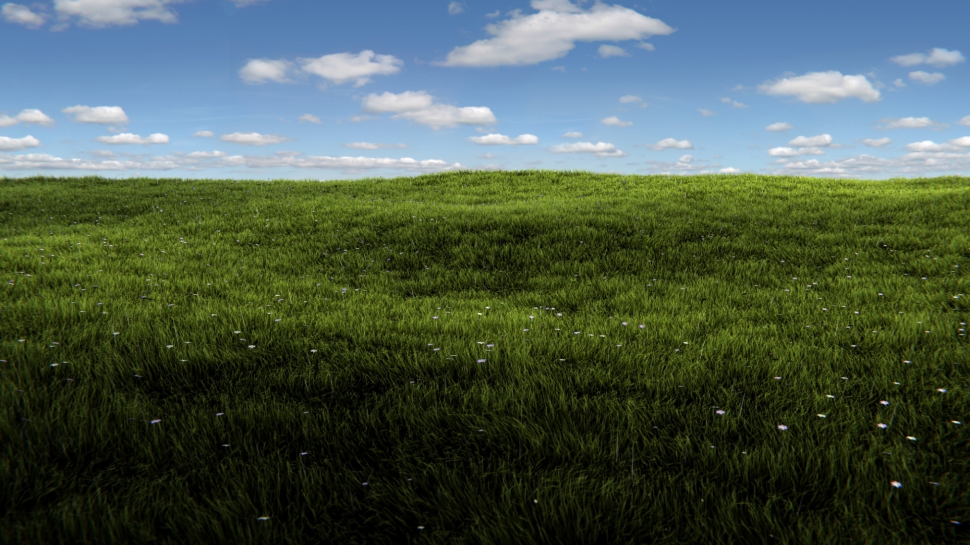 солнце, трава, blender, render, sunshine, grass, field, summer, зелень, небо