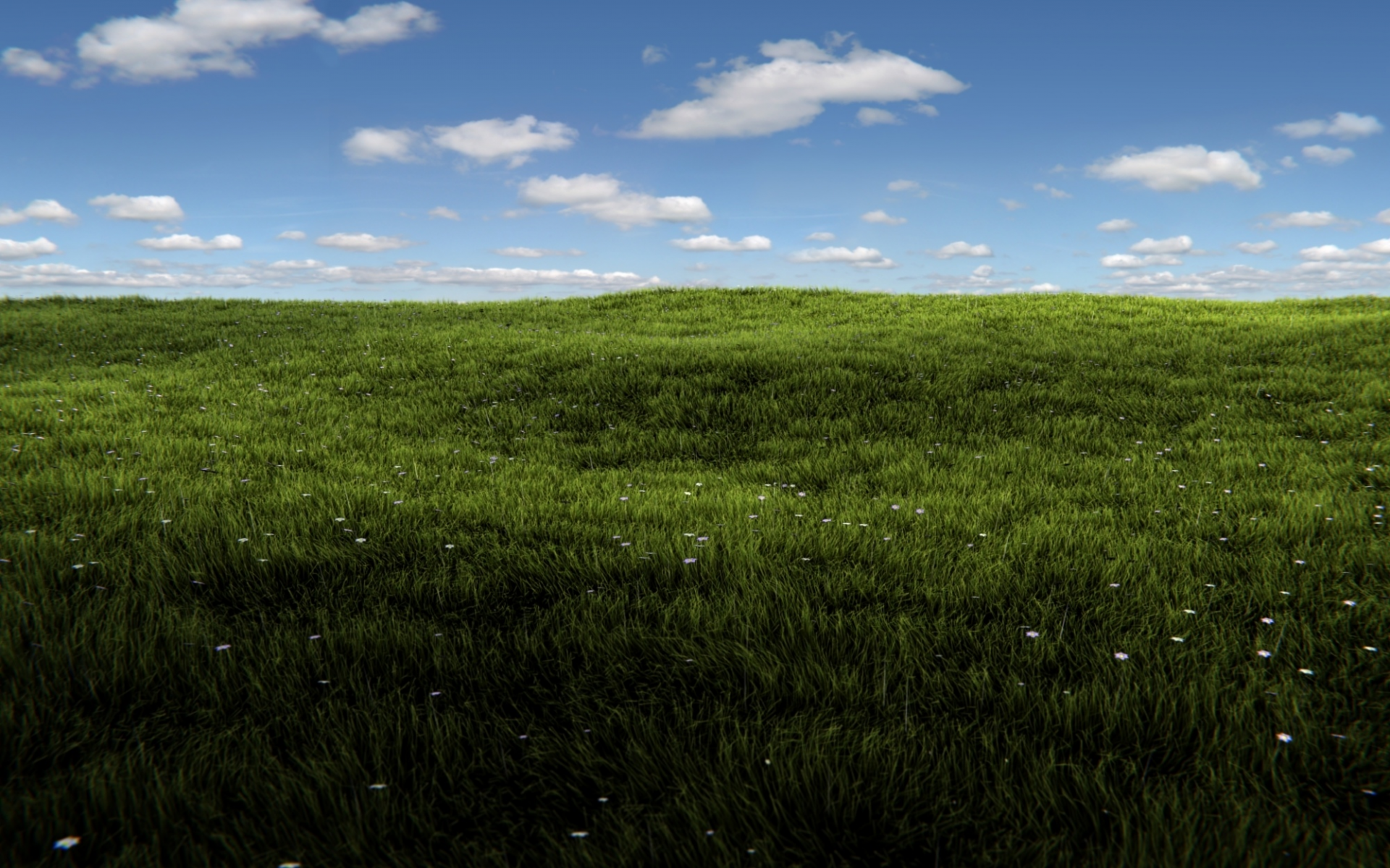 солнце, трава, blender, render, sunshine, grass, field, summer, зелень, небо