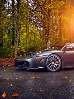 autumn, ferrari, wheels, asphalt, 430, leaf, silver, tuning, green, trees, sun