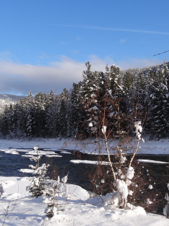 горная речка, ус, зима, снег, деревья