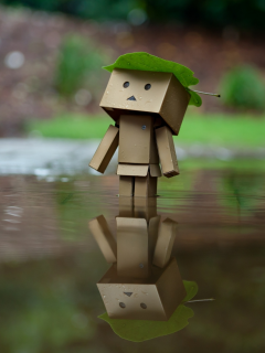 danbo, отражение, лист, amazon, дождь, коробка, вода, коробок