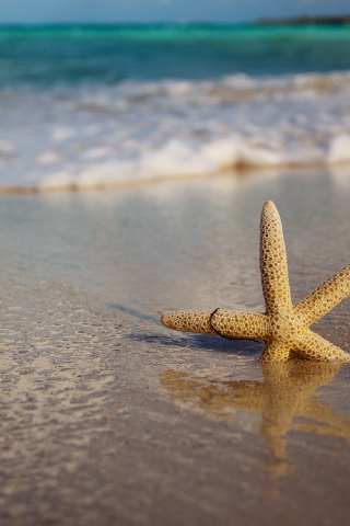 природа, пляж, море, песок, волны, морская звезда