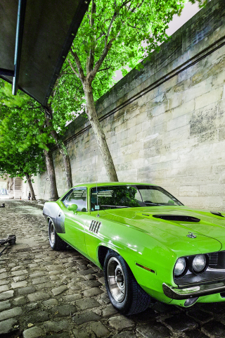 usa, green, car, plymouth, barracuda, muscle, 1971