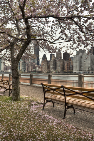 набережная, река, весна, пляж, us, ny, город, new york, roosevelt island