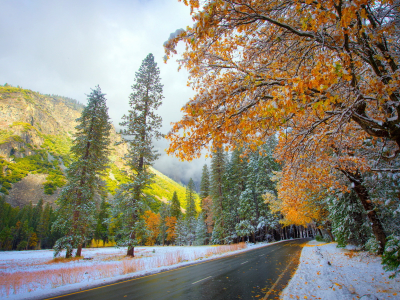 снег, природа, дорога, осень