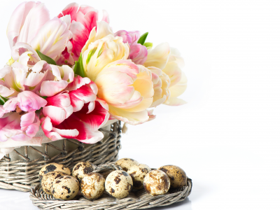 тюльпаны, пасха, яйца, цветы, корзинка