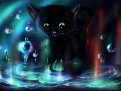 вода, пузыри, котенок