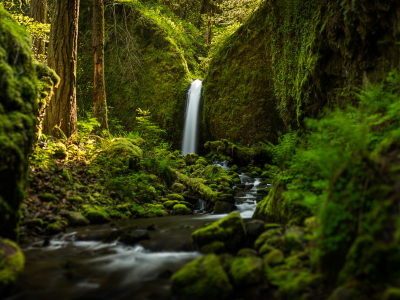 ruckel creek falls, oregon, водопад, лес, речка