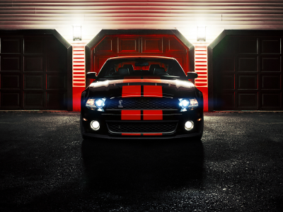 cobra, gt500, ford, ronaldo stewart photography, shelby, mustang