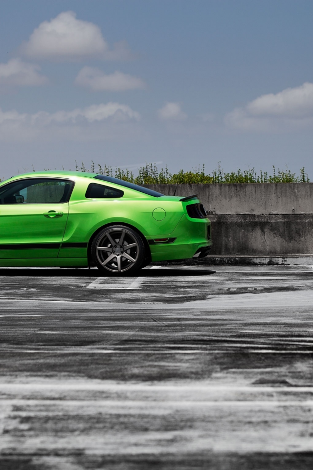 green, ford, форд, мустанг босс 302, mustang boss 302, салатовый