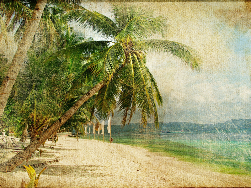 море, старая фотография, vintage, пальмы, винтаж