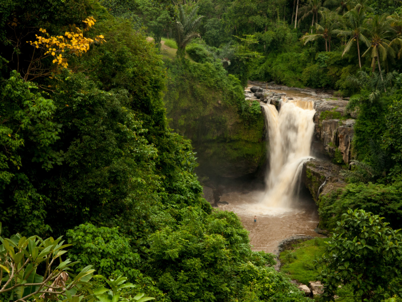 водопад, лес, бали, индонезия, bali, tegenungan waterfall, indonesiа