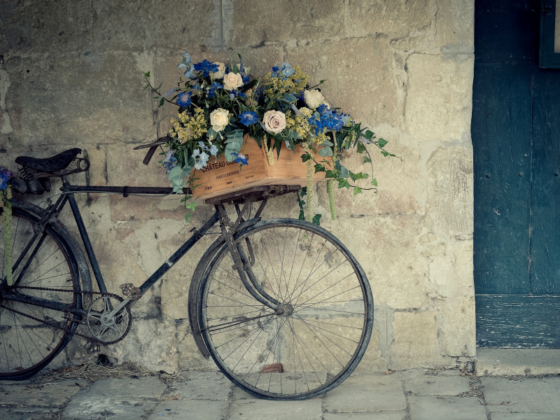 ящик, стена, велосипед, розы, цветы, корзина
