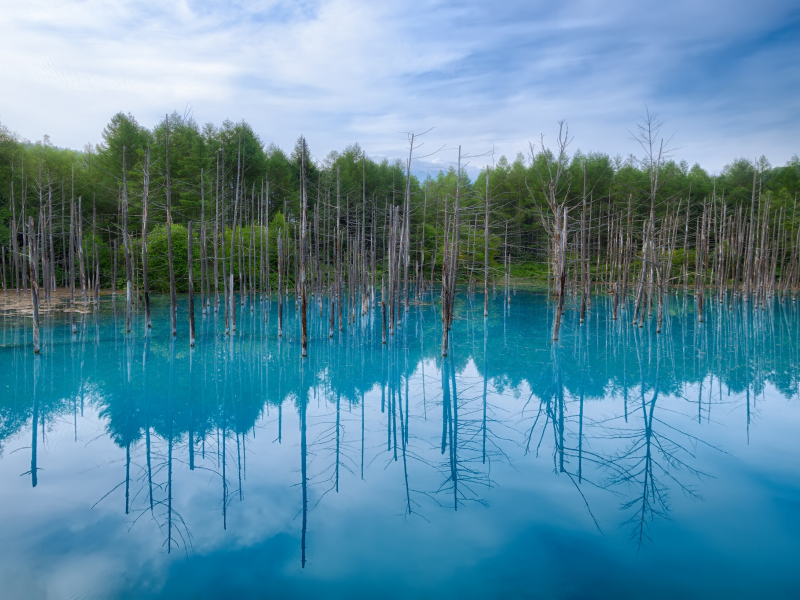 синий пруд, хоккайдо, отражение, деревья, небо, япония
